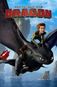 دانلود انیمیشن چگونه اژدهای خود را تربیت کنیم How to Train Your Dragon 2010