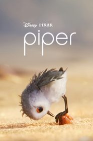 دانلود انیمیشن کوتاه پایپر Piper 2016